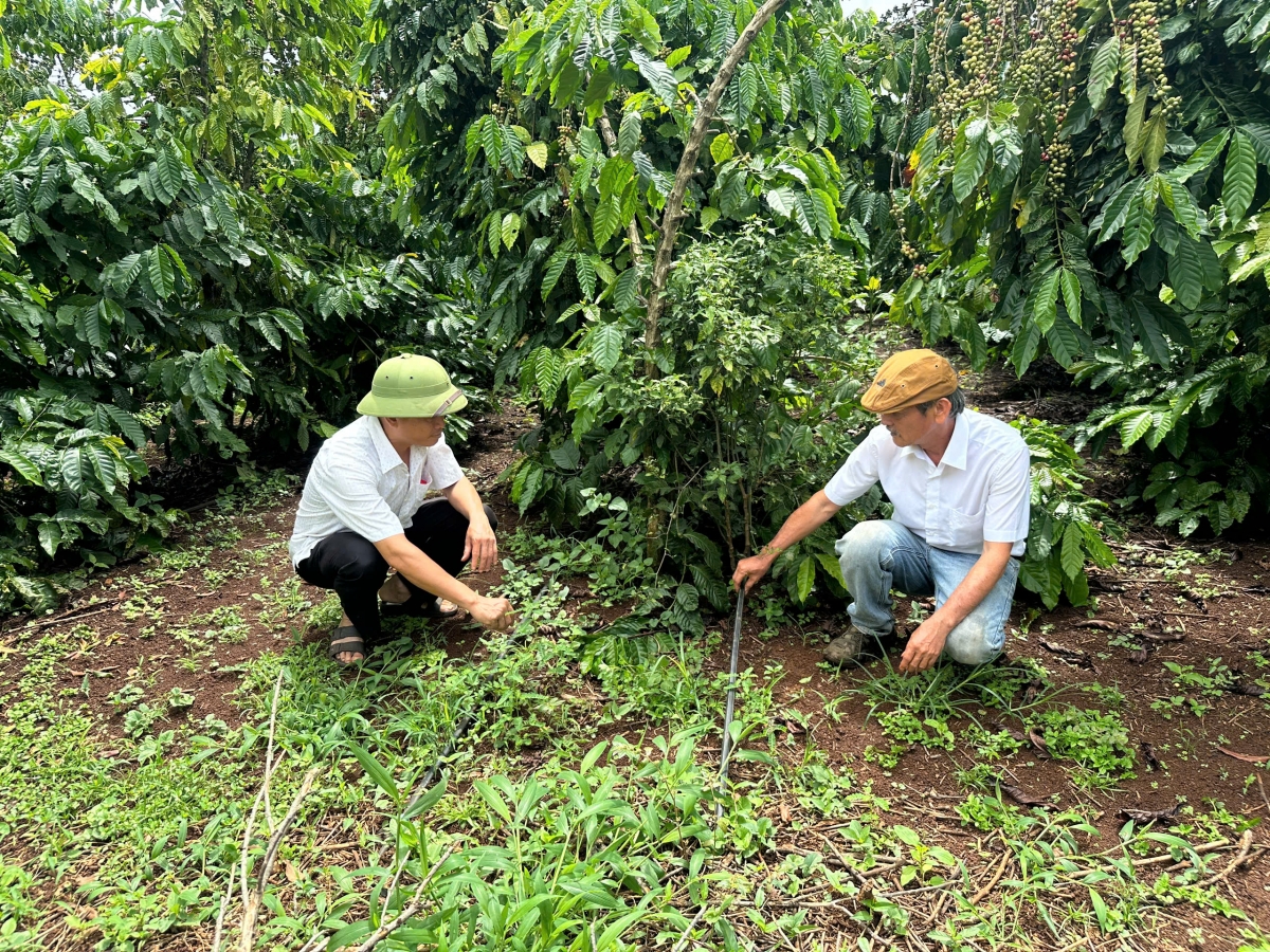 Xúa kơmăi tôh têa kơdĭng