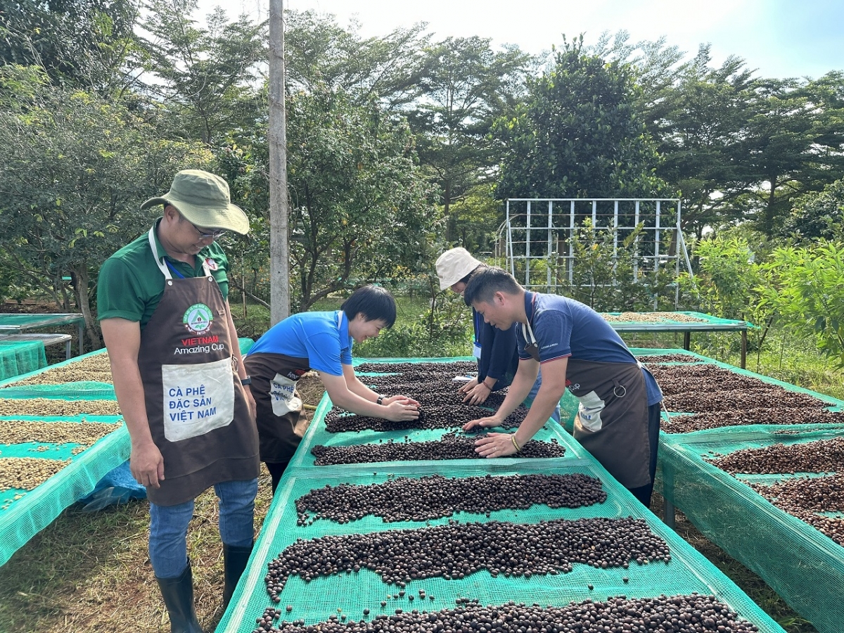 Nàng di pal mờ khà măt “kơphe bơh dunia dê”, càr Dăk Lăk pal lơh geh bơta niam uă ngan là kơphe bơkah