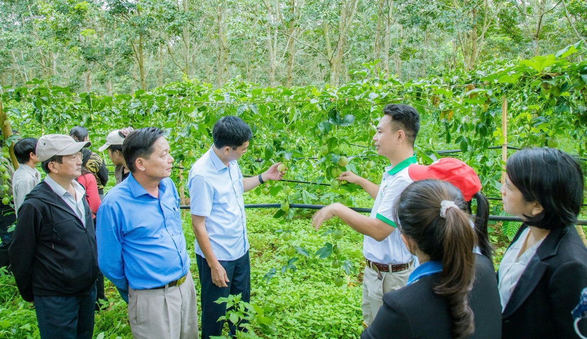 Jang kiơ̆ khul vă atŏk tơ iung gui yuăn atŏk tơ iung kơjăp ‘lơ̆ng