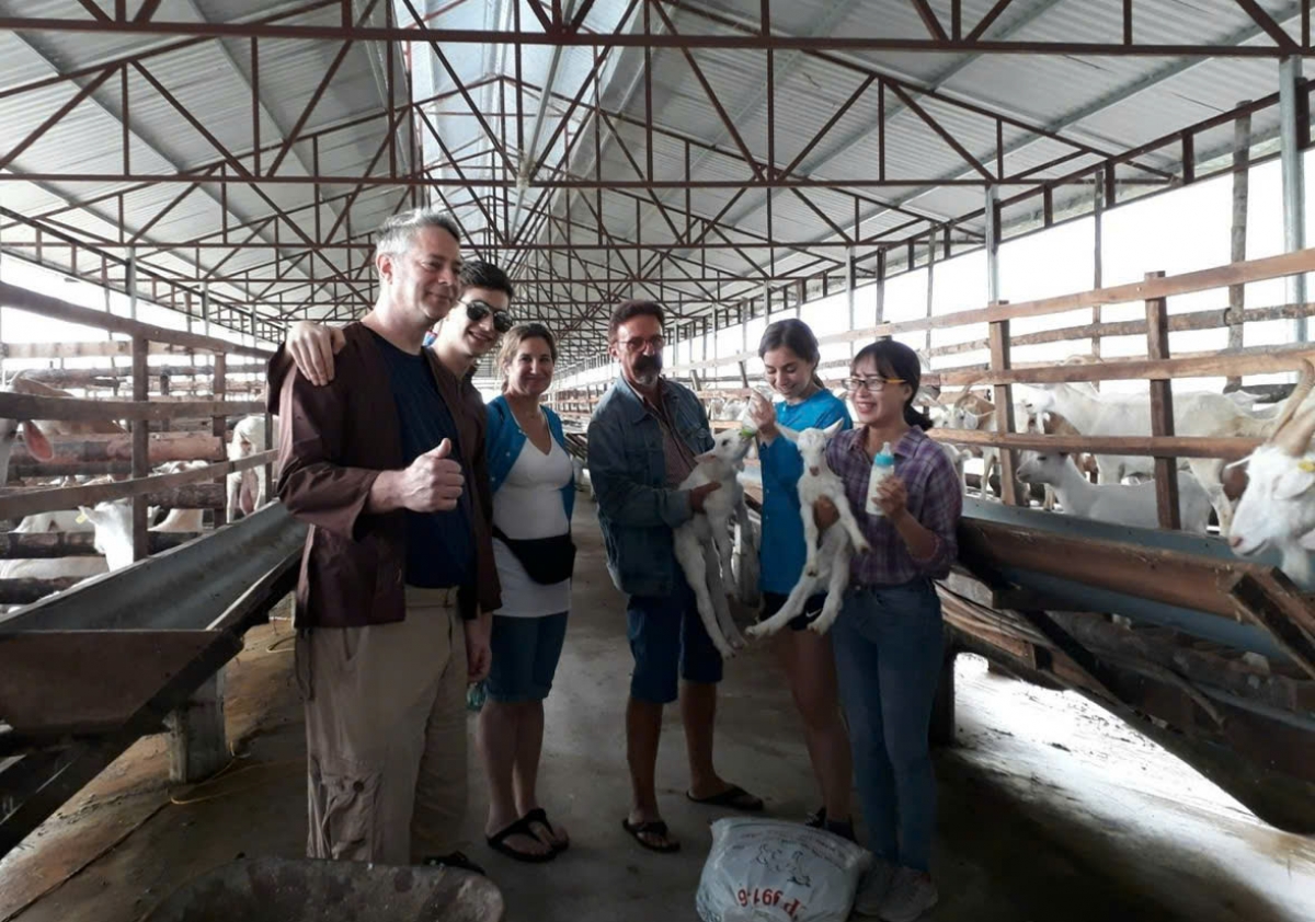 Đông đảo học sinh và du khách nước ngoài tìm đến trang trại sữa dê Ngọc Đào tham quan, trải nghiệm