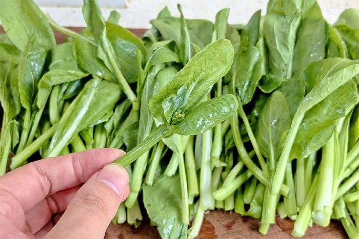 Mùa thu là mùa của rất nhiều loại rau ngon, bổ dưỡng. (Ảnh: Sohu)