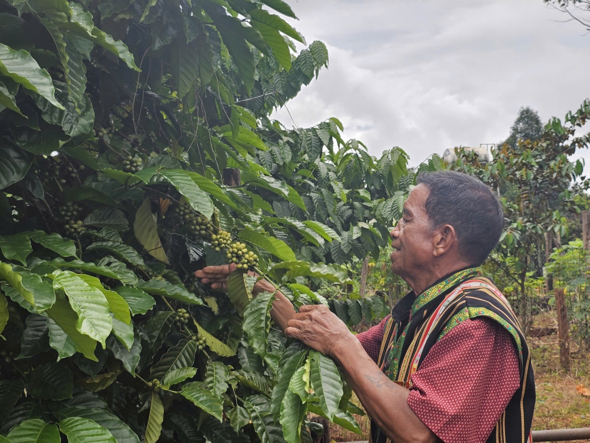 Mir cà phê geh âk play