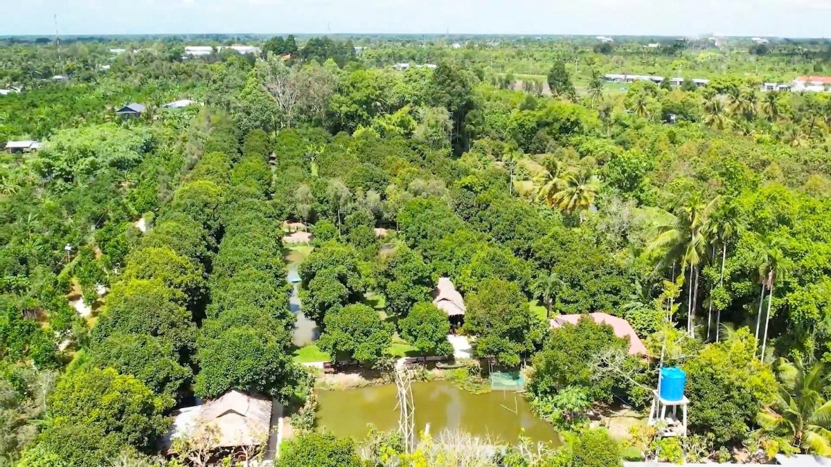 Khu du lịch sinh thái Vườn măng cụt 100 năm tuổi nhìn từ trên cao