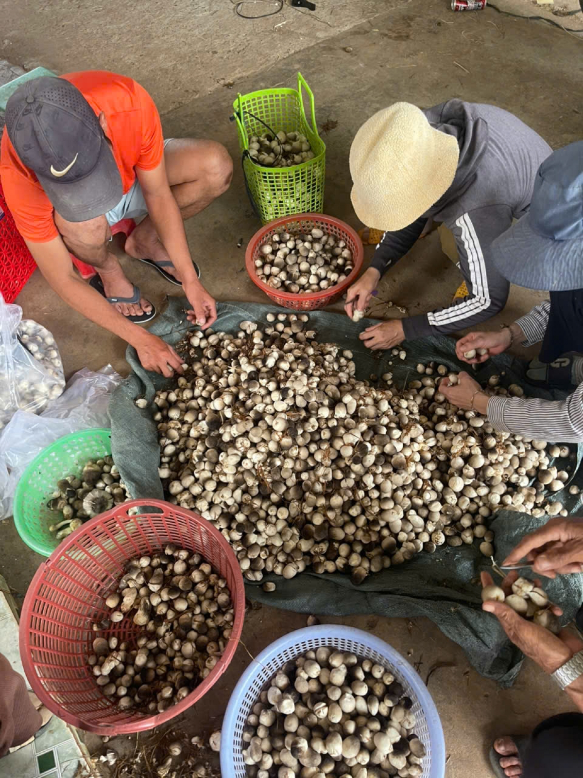 Bơsềt gam geh lơh niam lài mờ tŭ tac