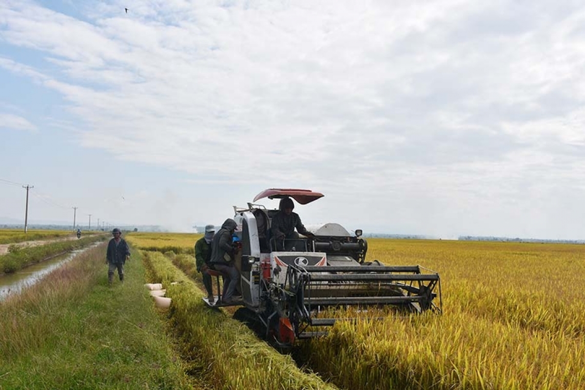 Klei mơak mâo yan buh pla ti kdrăn lŏ Čư̆ A Thai