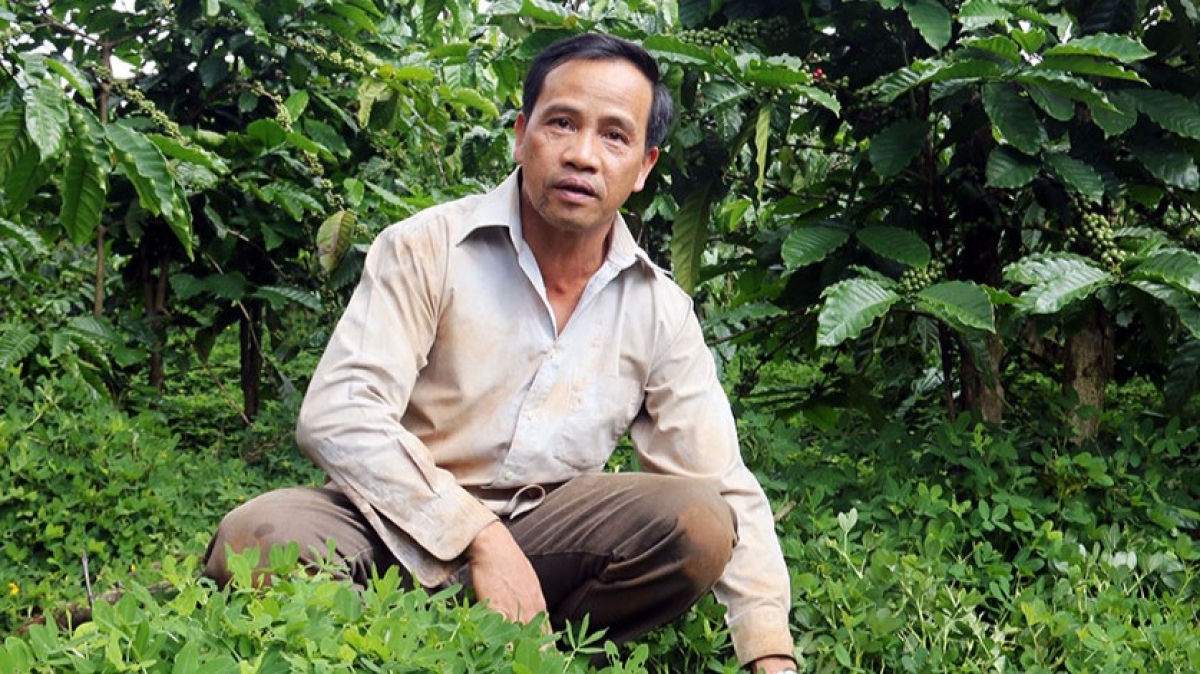 Ồng Trịnh Tấn Vinh mờ suơn kơphê hữu kơ bơh hìu bơnhă dê