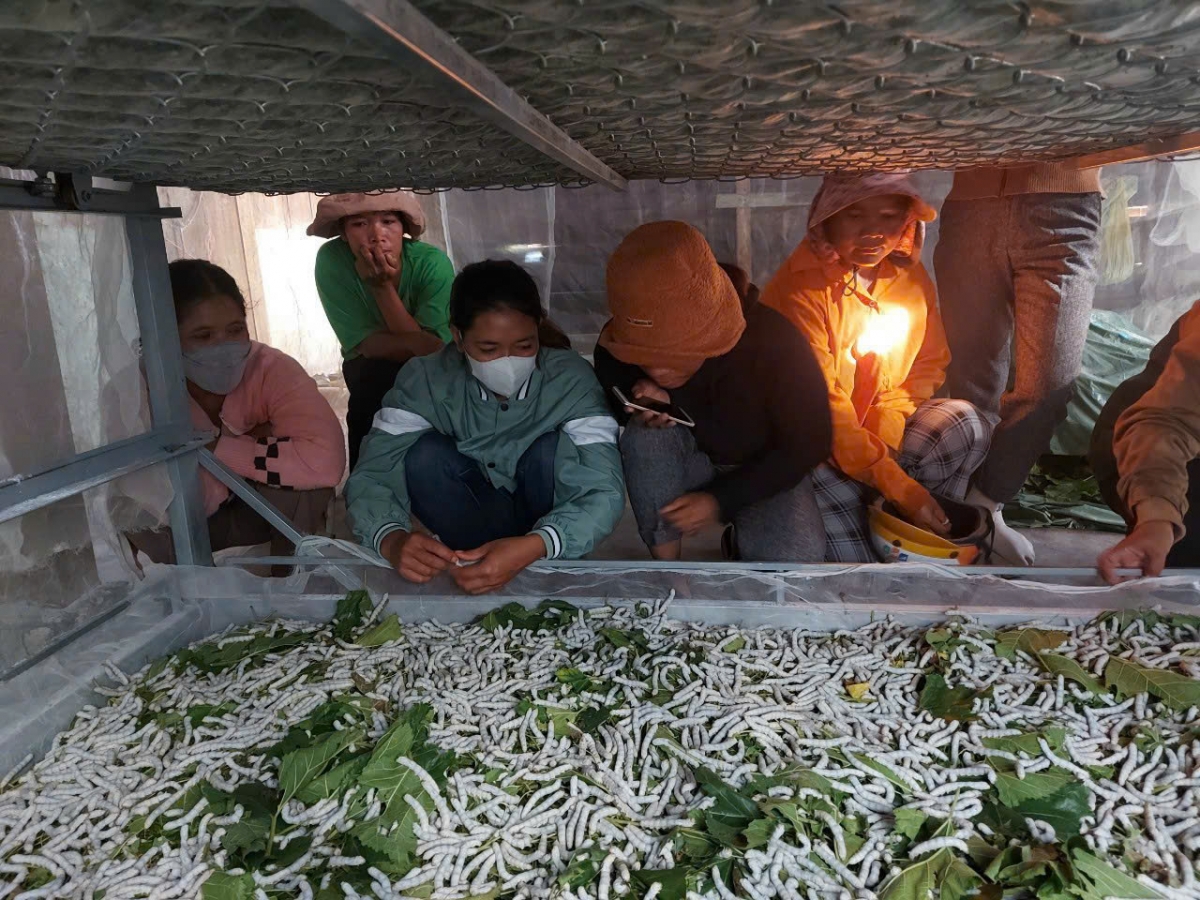 
Tơdrong jang pơtăm ‘long mơmur rong hơdrông pơm brai tơ̆ xăh Đam Rông 4, dêh char Lâm Đồng