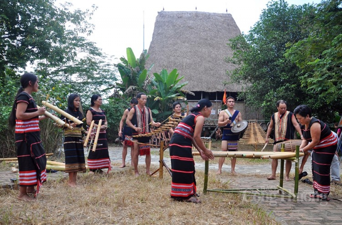 Rùp ai bơh tàm internet