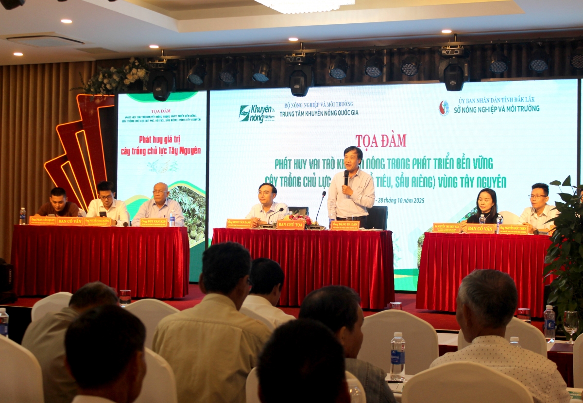 Tơpui tơno tơ’mot 100 ngế rơkê, khu mơdró ƀă kuăn pơlê dêi 3 to kong pơlê Dak Lak, Gia Lai ƀă Lâm Đồng