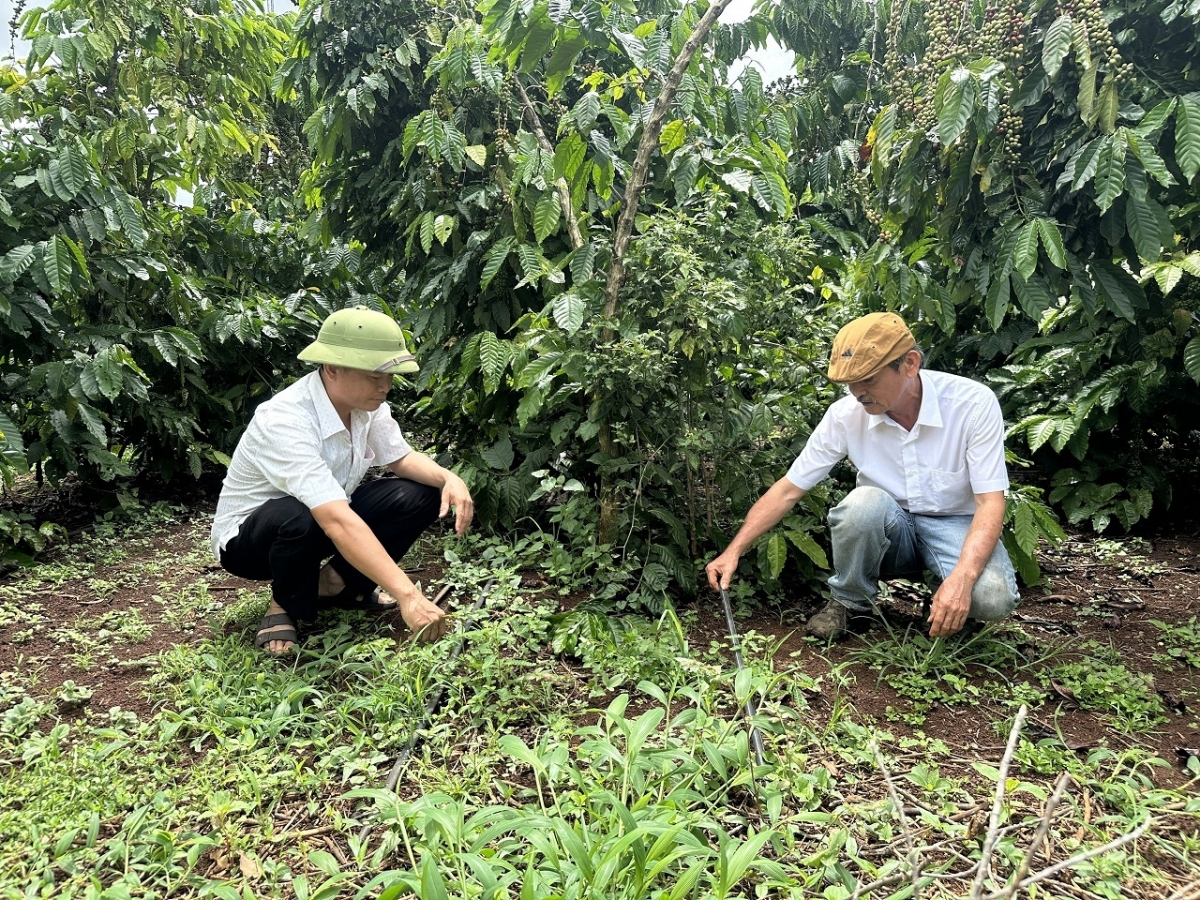 
Lơ kon pơlei lơ̆m păng ‘ngoăih dêh char hlôi truh năm lăng, hŏk pơhrăm pơtăm chehphe lơ tơm-hơchăng tơ ‘mơ̆ng kơ ƀok Nguyễn An Sơn.