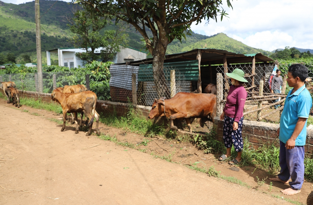 
Kôn jên tơgum djru tơpôl tơgŭm ăn ŭnh hnam ‘nhŏng A Yĭu atŏk tơ iung rong kon tơrong.
