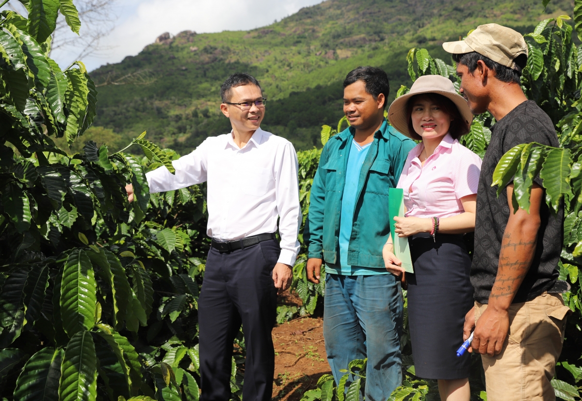 Hên rơpŏng hdroâng kuăn ngo a Gia Lai ‘no liăn rak ngăn dêi kơphế