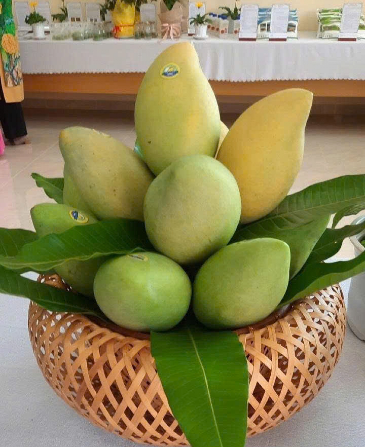 Trái xoài sản xuất theo tiêu chuẩn GAP