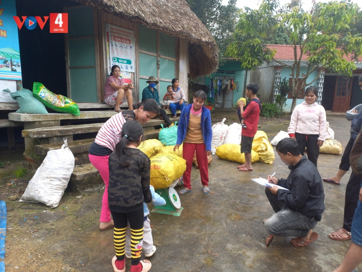 Bà con Bhơ Hôông án sản phẩm nghệ đen cho HTX địa phương 