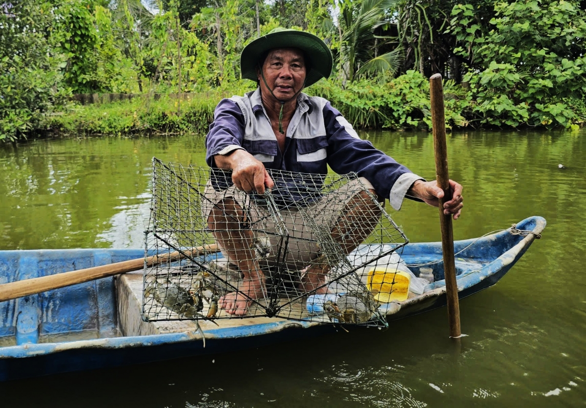 Tỉnh Cà Mau đứng đầu cả nước cả về diện tích và sản lượng cua