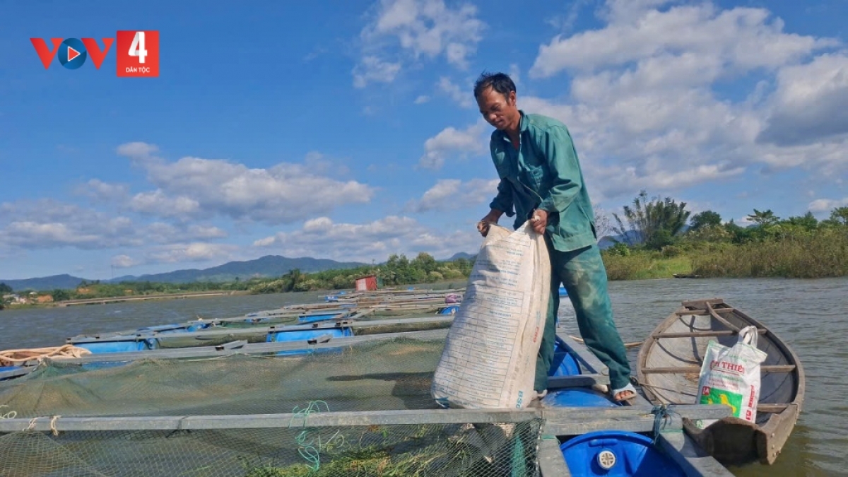 Anh Hồ Văn Khiếp nuôi cá lồng trên lòng hồ thủy điện