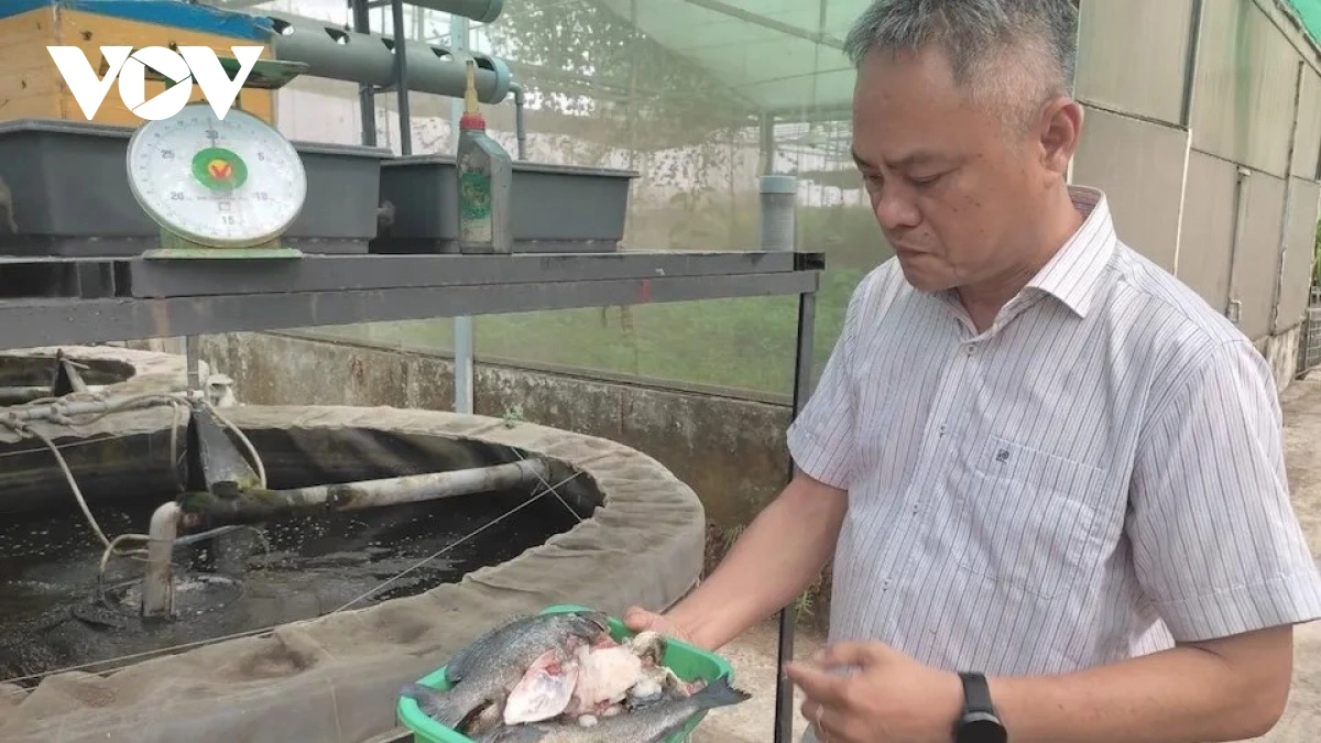 Ky su Nguyễn Ngọc Thạnh yaih khan bruk ngak payeng raong ikan, mực dalam danao