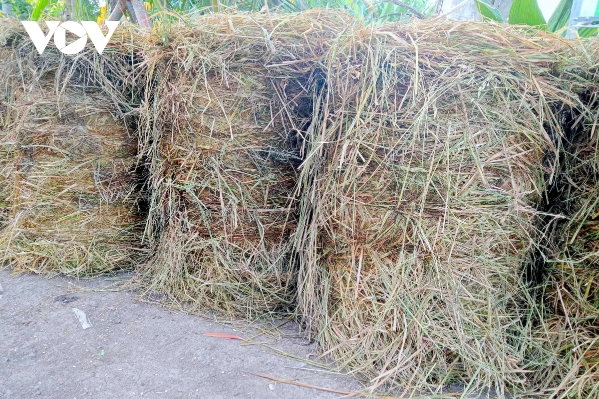 Yaok thun bhum Taneran kraong Cuu Long ngak tabiak labaih 25 tal 28 trieu tan pong nerang