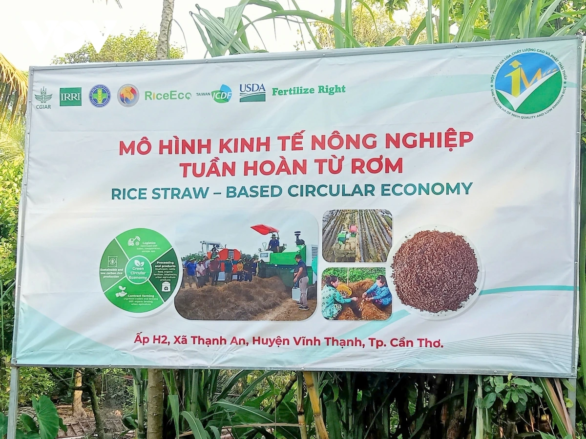 Gah ngak nong payeng pambak tabiak meng dom mblang hamu di gah Pei negar