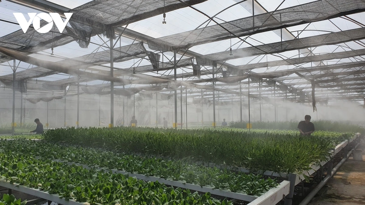 Bhum taneh pasei salih bahrau meng njam