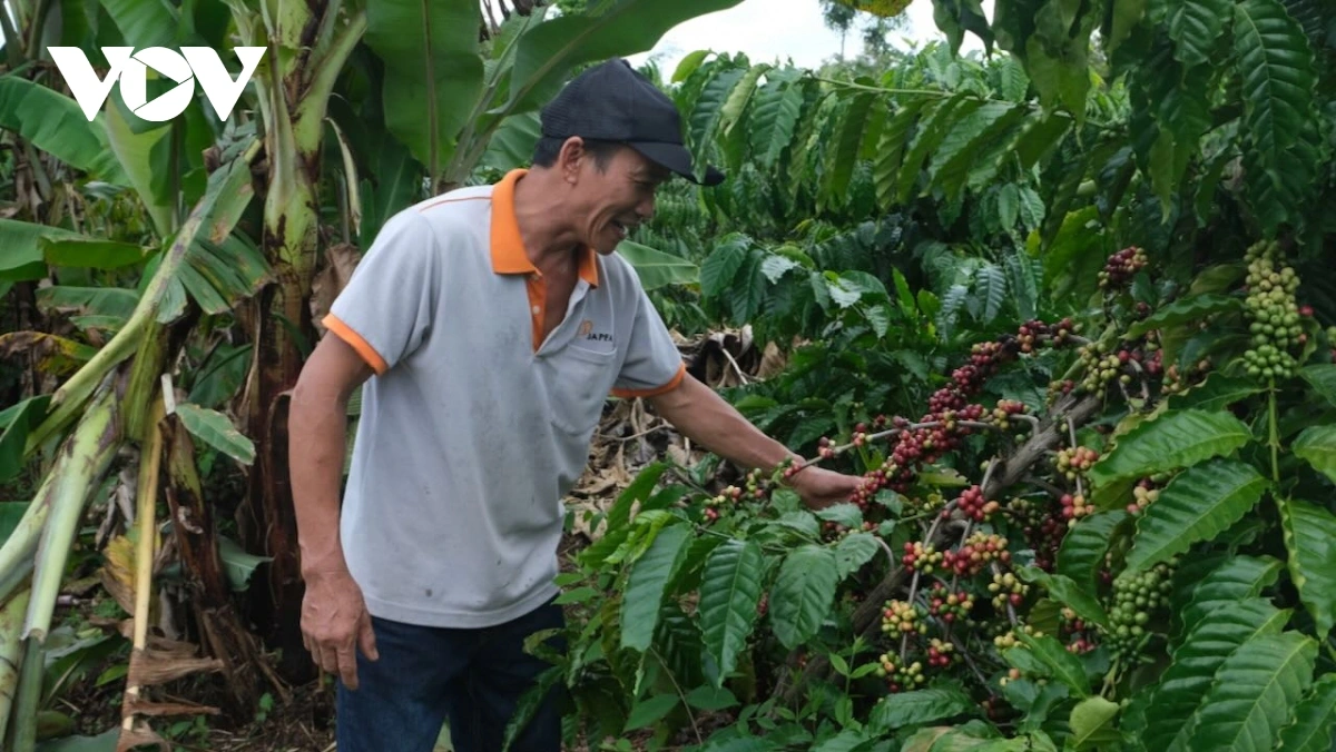 Raidiuk di rahra bhum atah bayah dak harei dak ginup meda