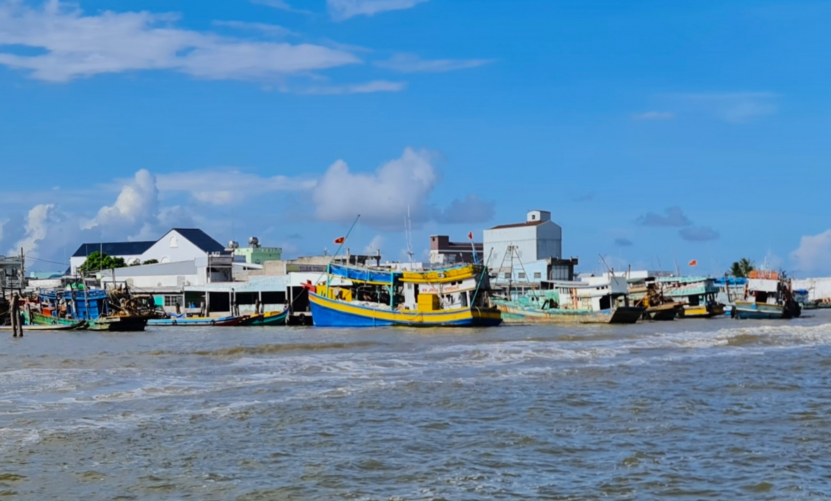 Taphia bruk pasang iek gilai ikan, tinh Ca Mau jeng daok patagok taong bhat dom bruk suan saong ikan hadang meng halei mai