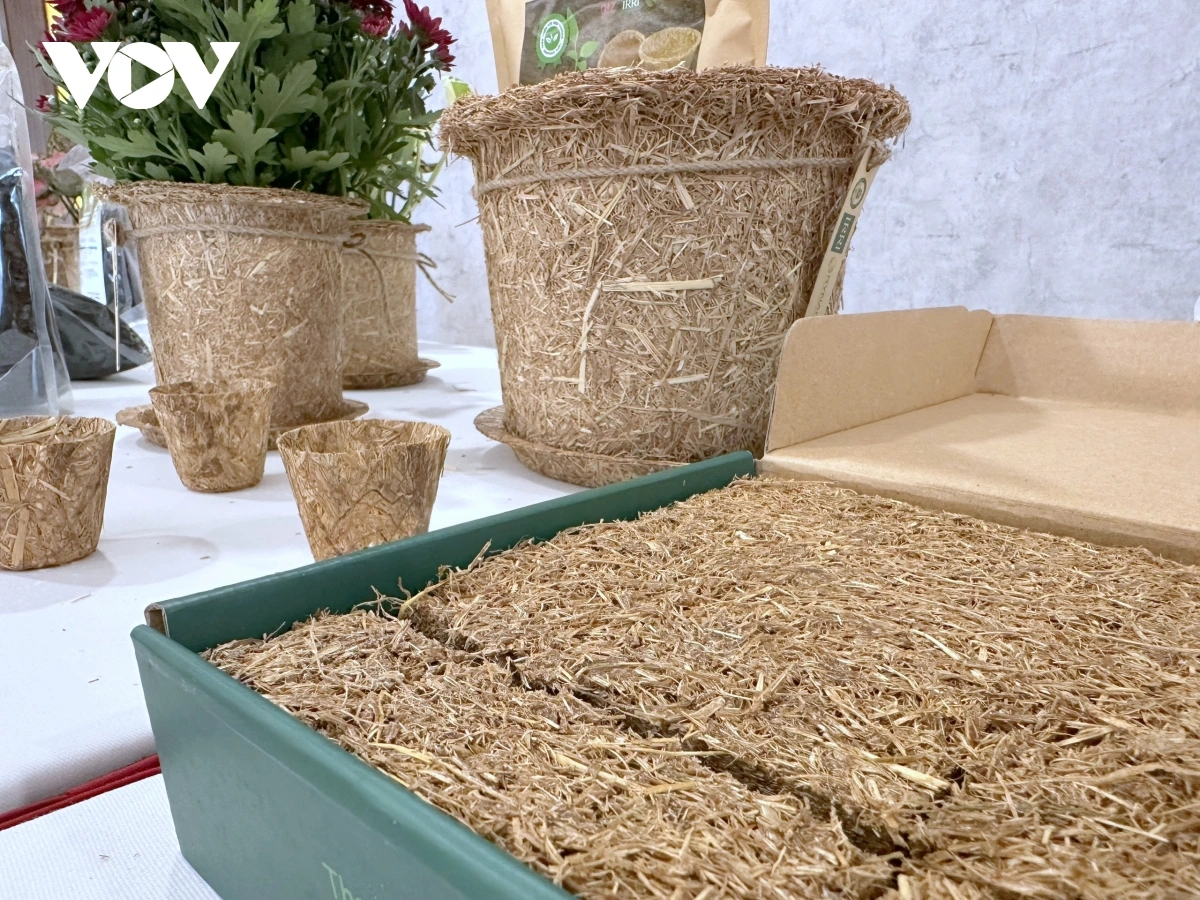 Pong nerang lac pandap tamo piah paglaong yaom kaom ka rahra