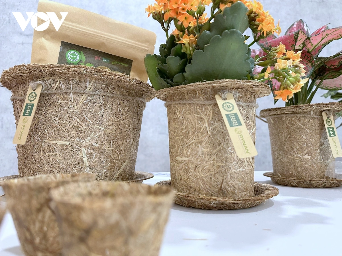 Pataom pong nerang piah pandar veik oh lac daong patrun tathuak nerak tabiak alam langik bo daok ngak jeng yaom kaom kinh te