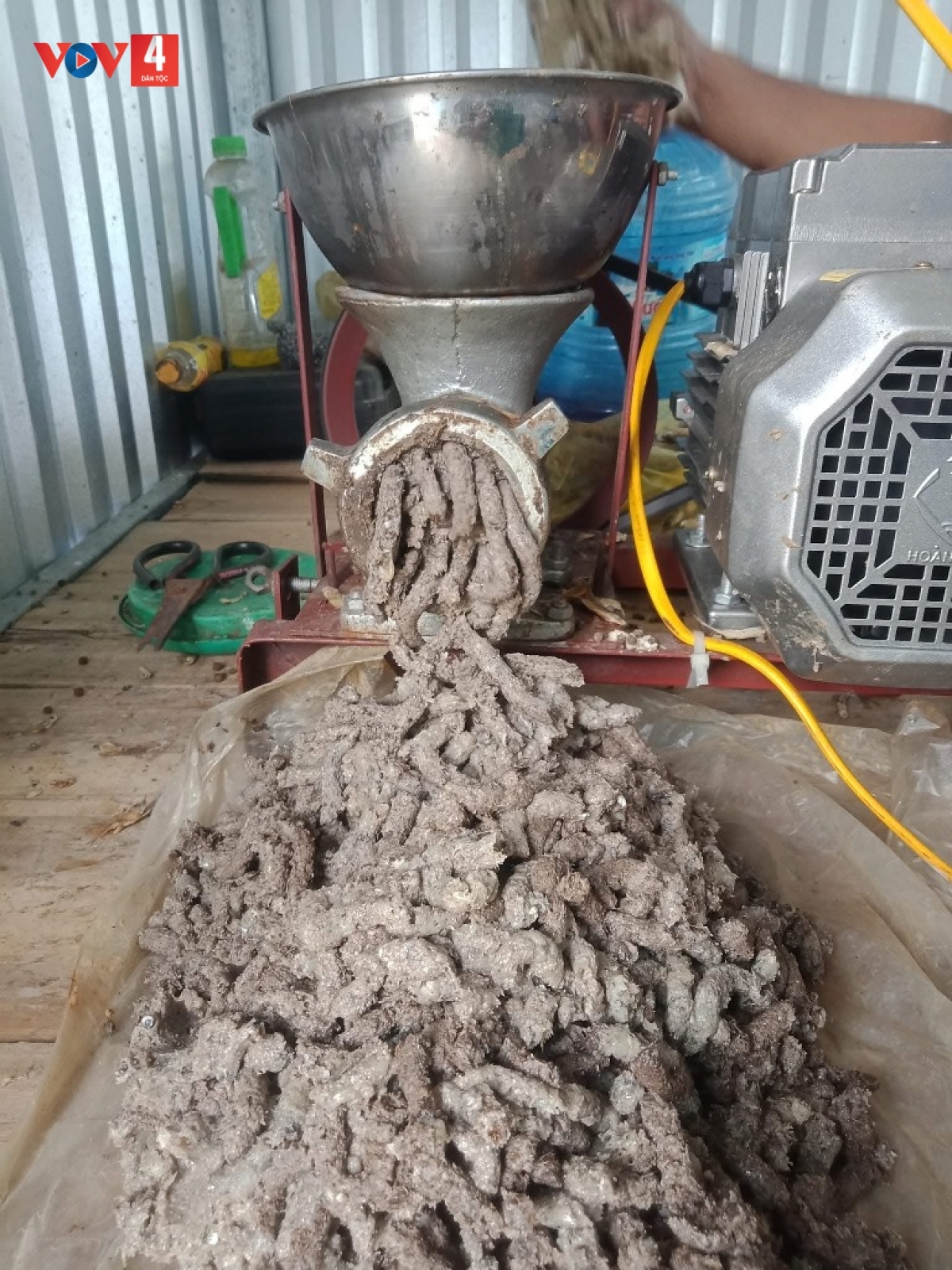 Xay nhỏ cá vụn làm thức ăn cho cá nuôi trên lòng hồ