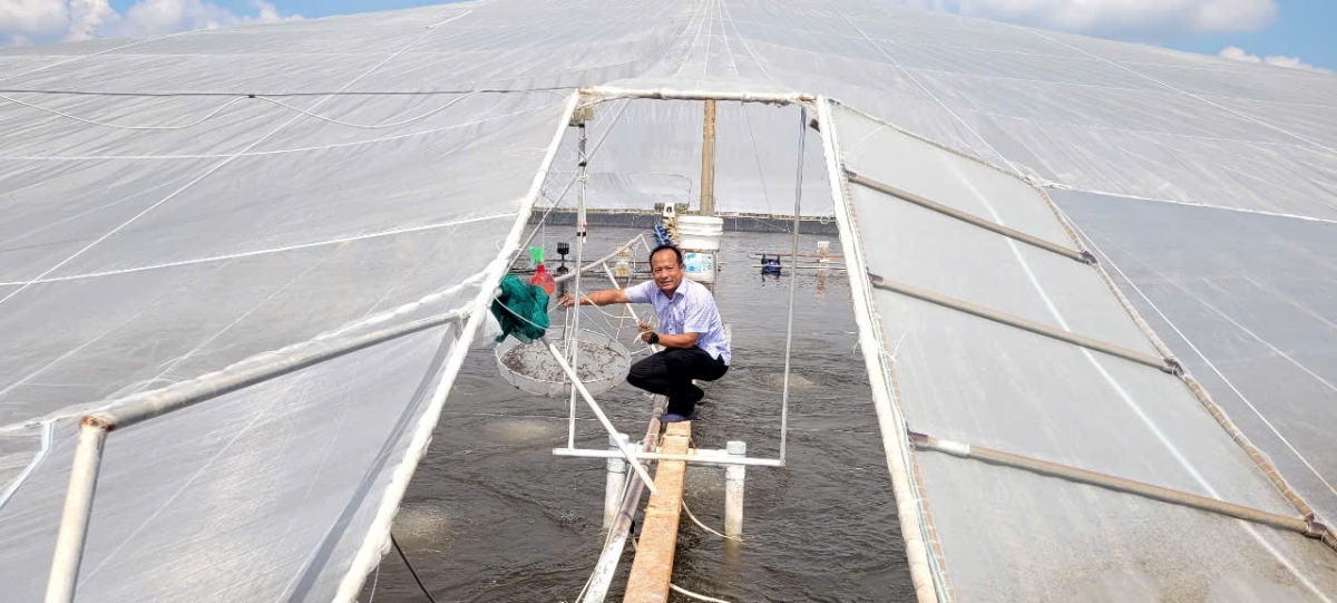 Anh Ngô Minh Tuấn thăm một ao tôm công nghệ cao