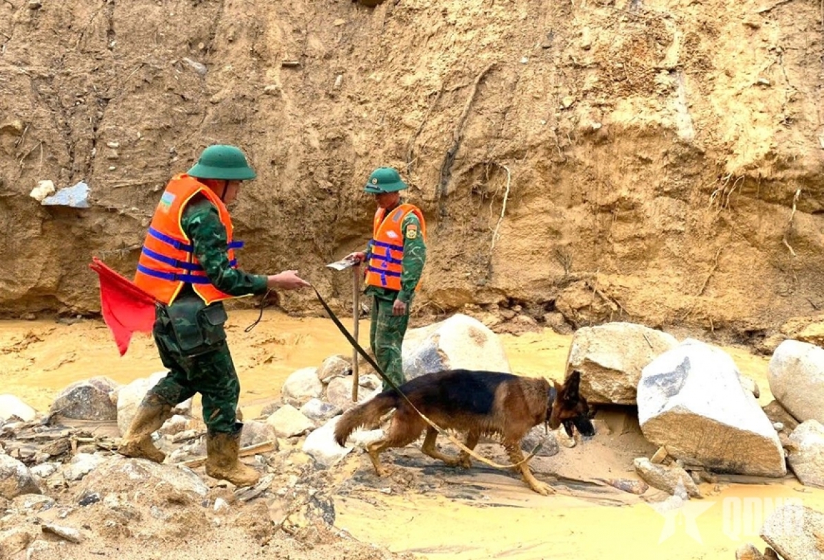 Chó nghiệp vụ đang tìm kiếm nạn nhân mất tích.