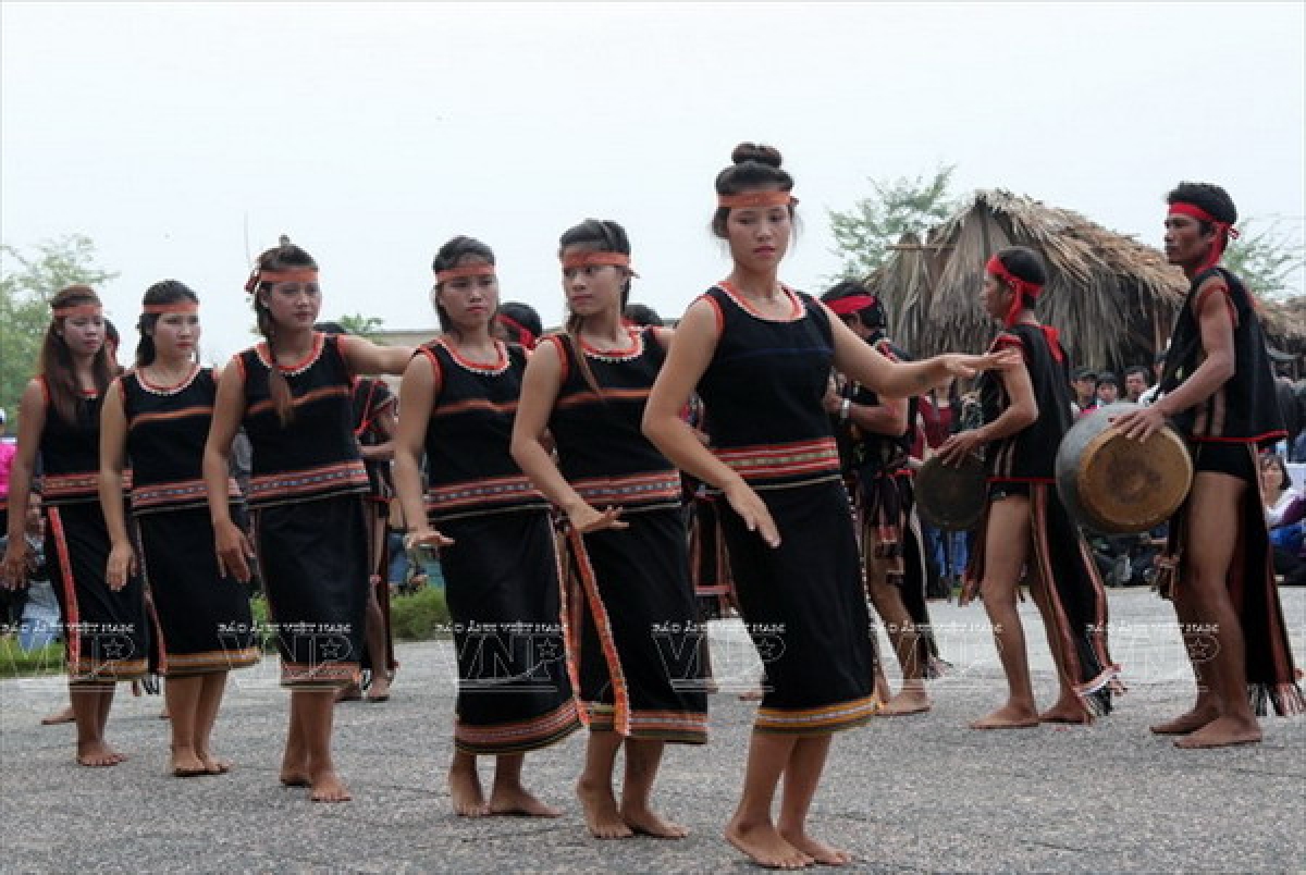 Rùp ai bơh tàm internet