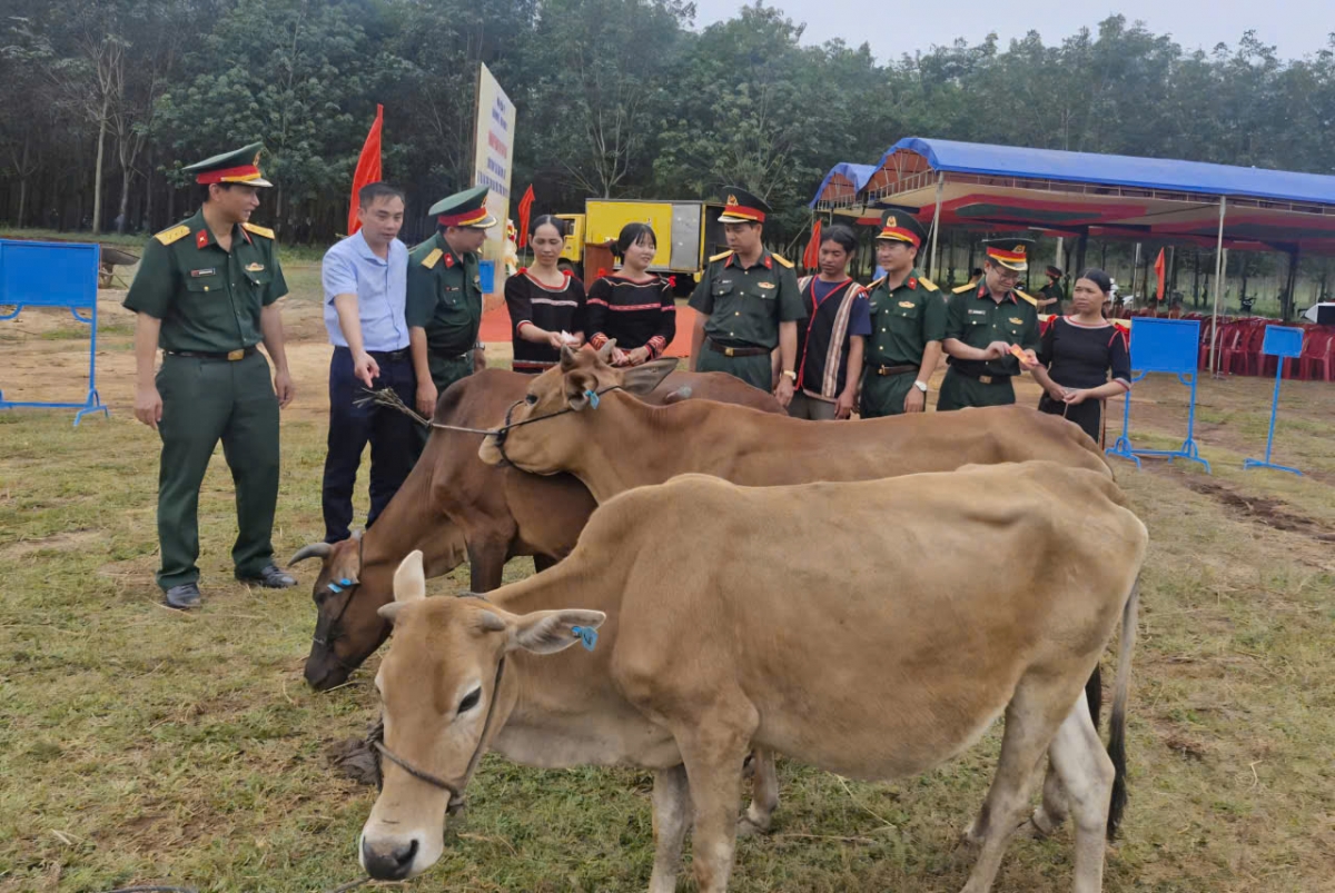 Kuăn pơlê cheăm Ia Krêl phiu ro châ Ƀinh đoân 15 điâp ăm ro kăn