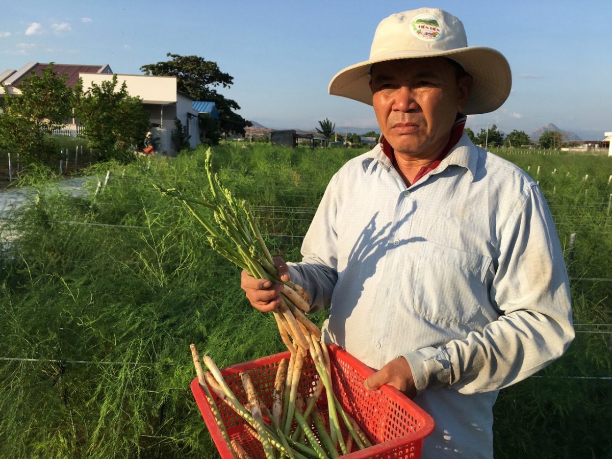 Bruk pala phun rabung prang di ong Hùng Ky