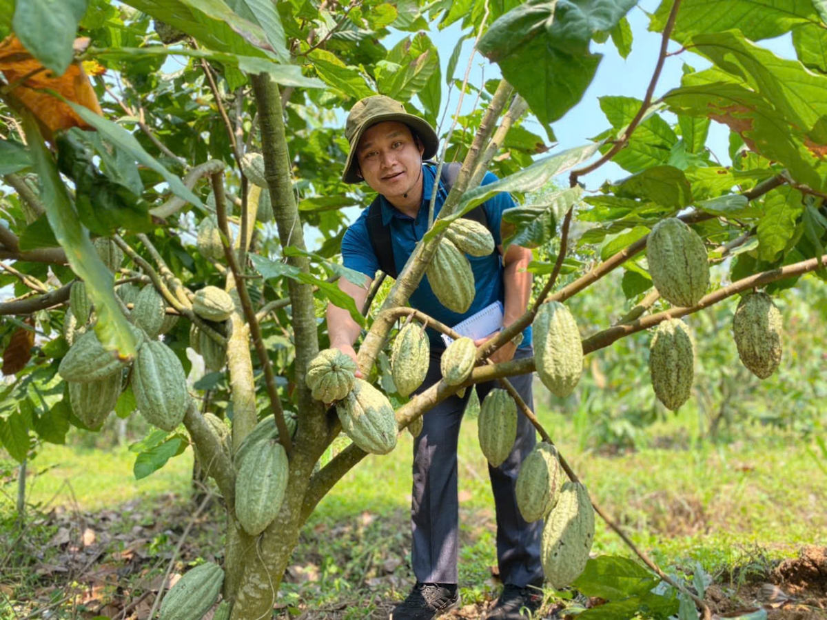 
Kon pơlei jang chŭn mir Đắk Lắk vih hơlơ̆k hăm ‘long ca cao