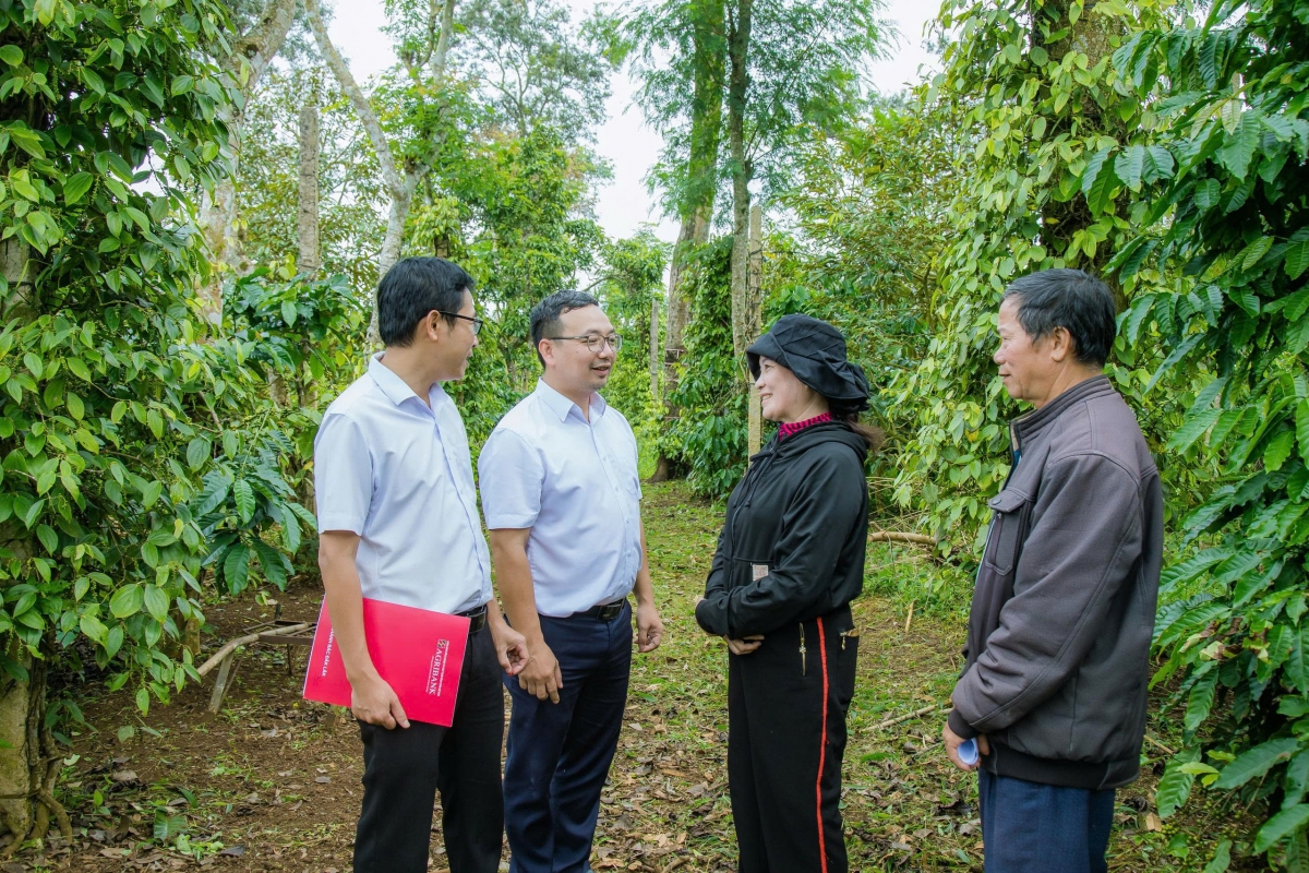 
Kăn ƀô̆ tơ̆ anih mong jên jur truh tơ̆ pơgar ‘long vă roi tơbăt, pơtho tơƀôh ăn kon pơlei
