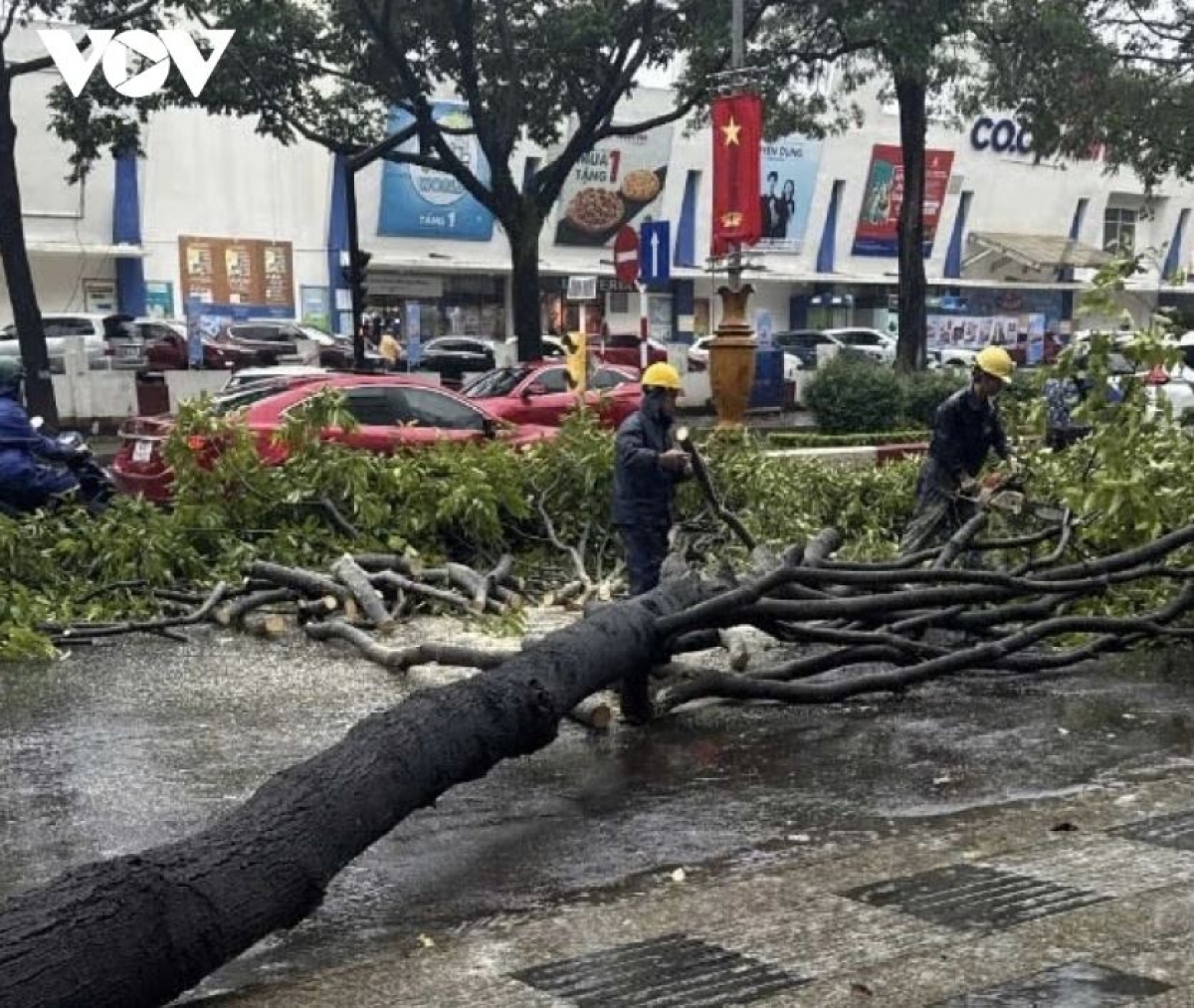 
Tơm 'long păk tơgơ̆ kiơ̆ trong Trần Cao Vân, phương Buôn Ma Thuột