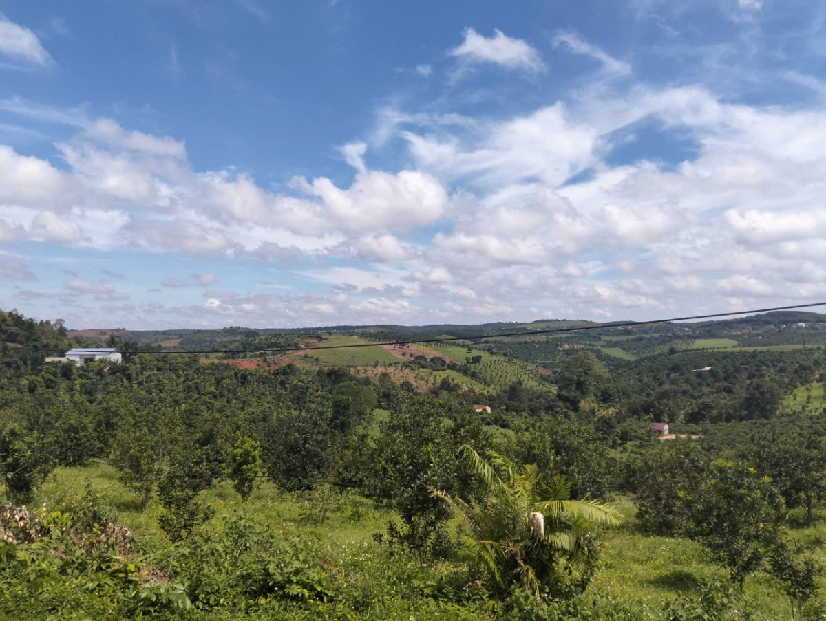 
Tơm măk ka tơgop pơm jơk tơring teh phui phang tơmang kŏ