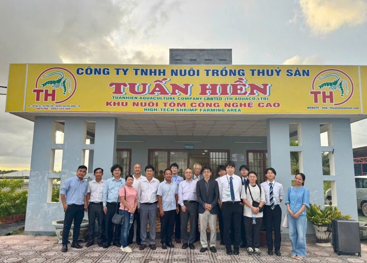 Mô hình nuôi tôm công nghệ cao của anh Tuấn Hiền thu hút nhiều khách tham quan, nghiên cứu, chia sẻ kinh nghiệm nuôi tôm biển