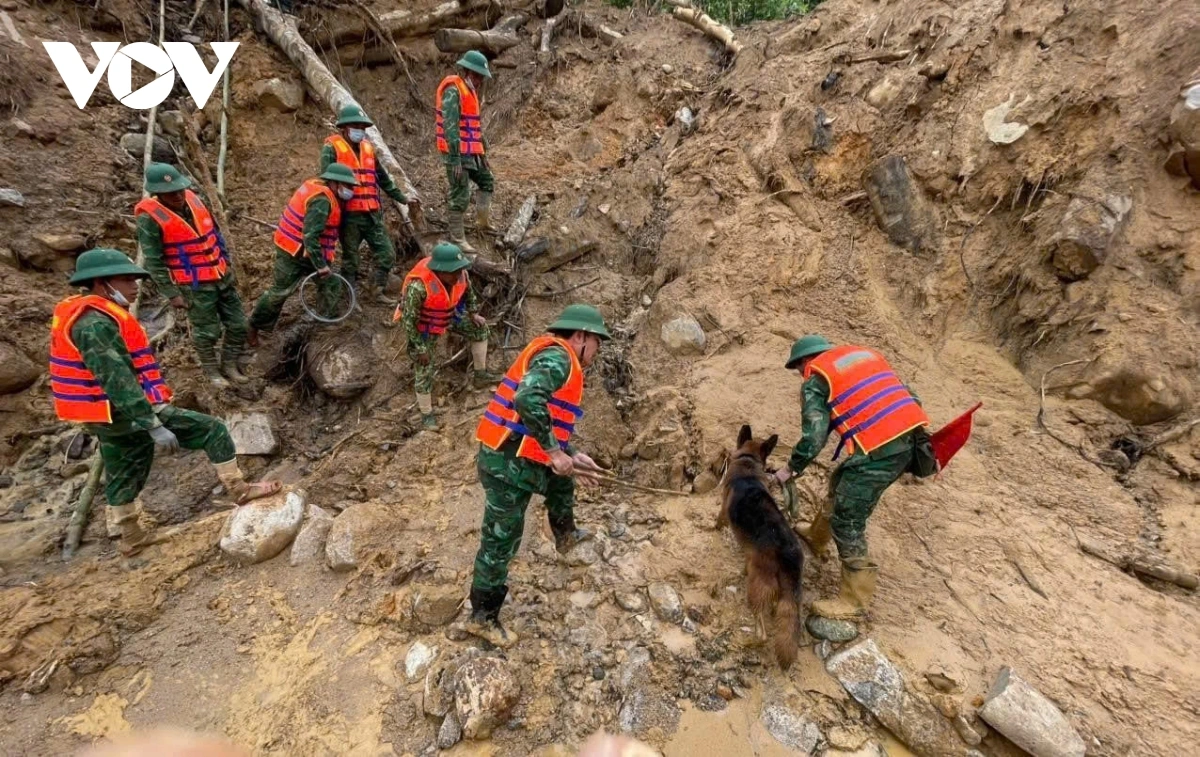 Đưa chó nghiệp vụ tìm kiếm nơi nghi ngờ.