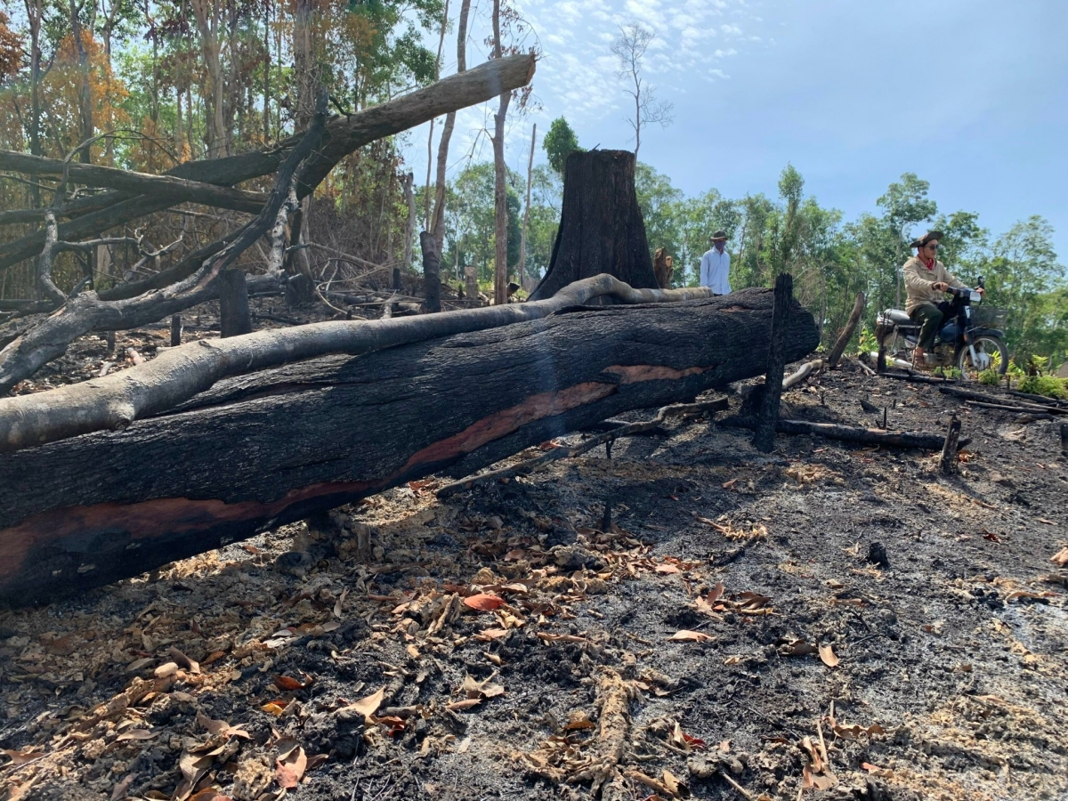 Bă brê Tây Nguyên ngai sơlơ gơmù uă ngan tàm tŭ cau lơh broă sền gàr brê ngai sơlơ ờ tơl