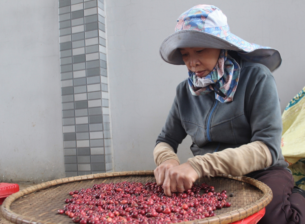 Tơdrong pơm tơlĕch, vei lăng đơ̆ng rŏng phĕ iŏk đei ƀơm tih truh tơdrong ‘lơ̆ng găr cheh phe