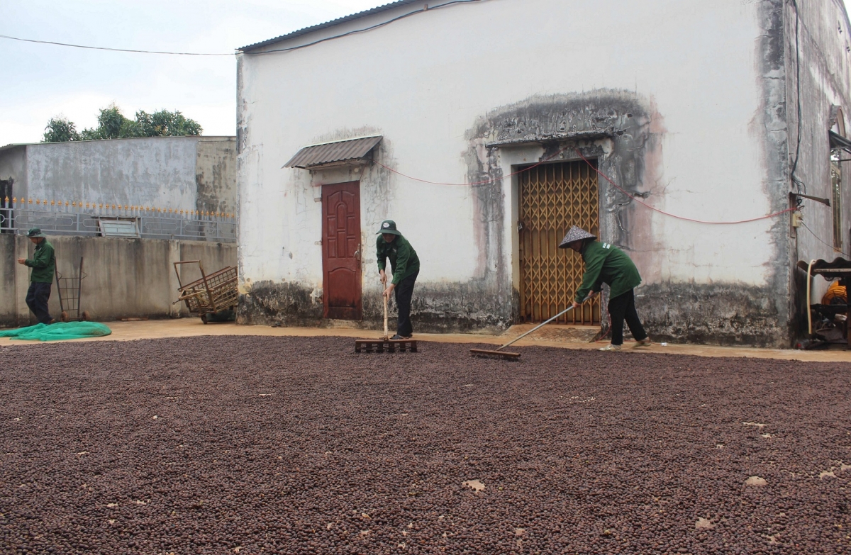 Kong mêi ton ƀă ki kơchoh pro tơdroăng têng khăng, rak kơphế trâm pá