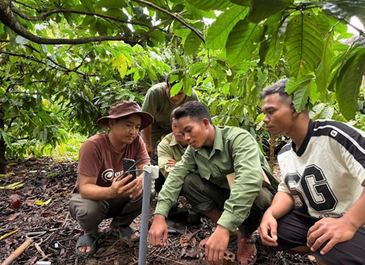 Hăng tơlơi gir run amăng gơnong bruă pơsur ngă hmua, mơnuih ƀôn sang ba yua boh thâo ia rơgơi mrô amăng bruă ngă hmua pla pơjing