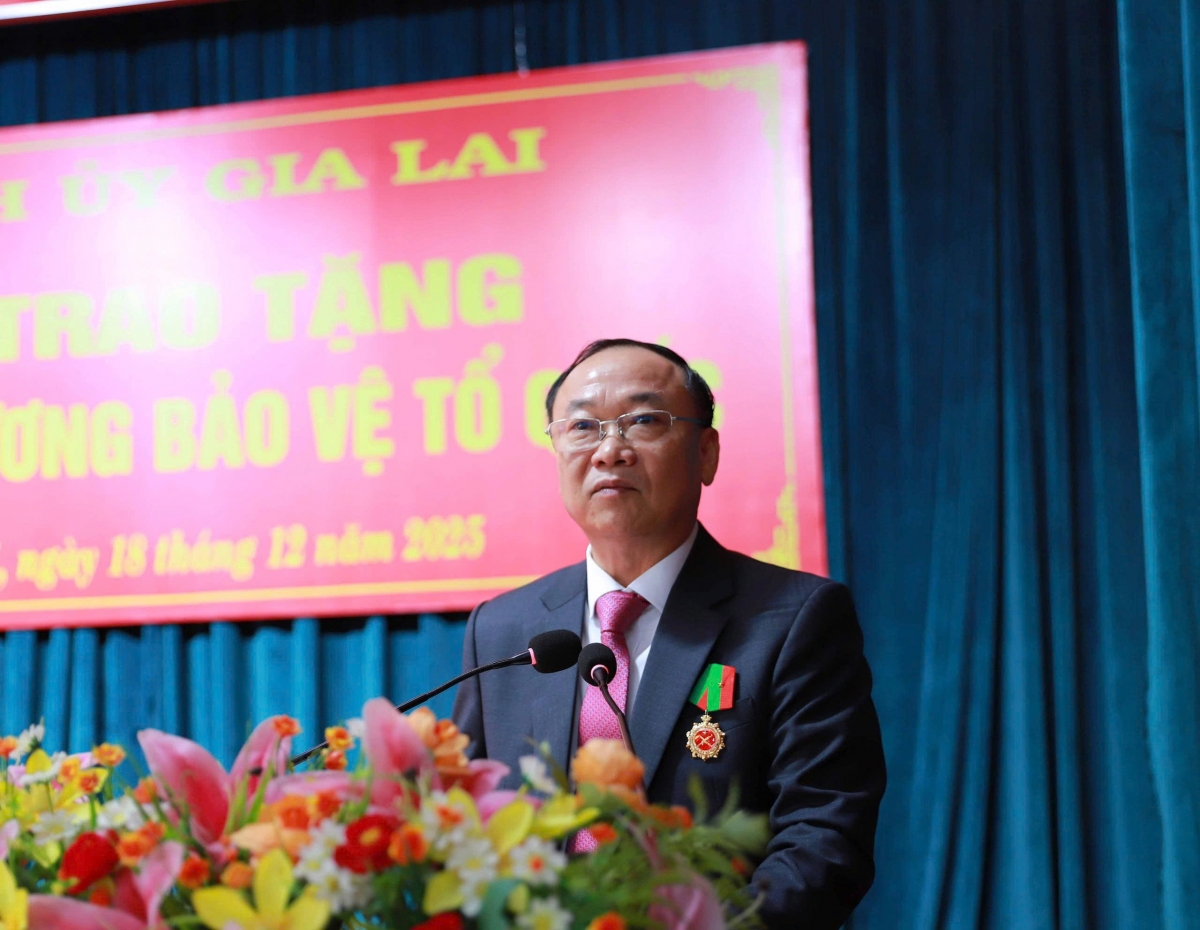 
Ƀĭ thư Tĭnh uy Gia Lai Thái Đại Ngọc