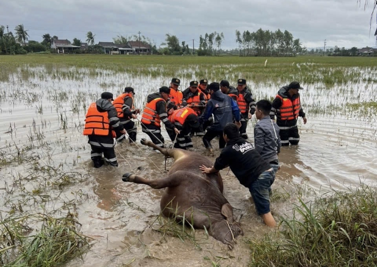 Khòm jơh phan chơt nàng tơp 