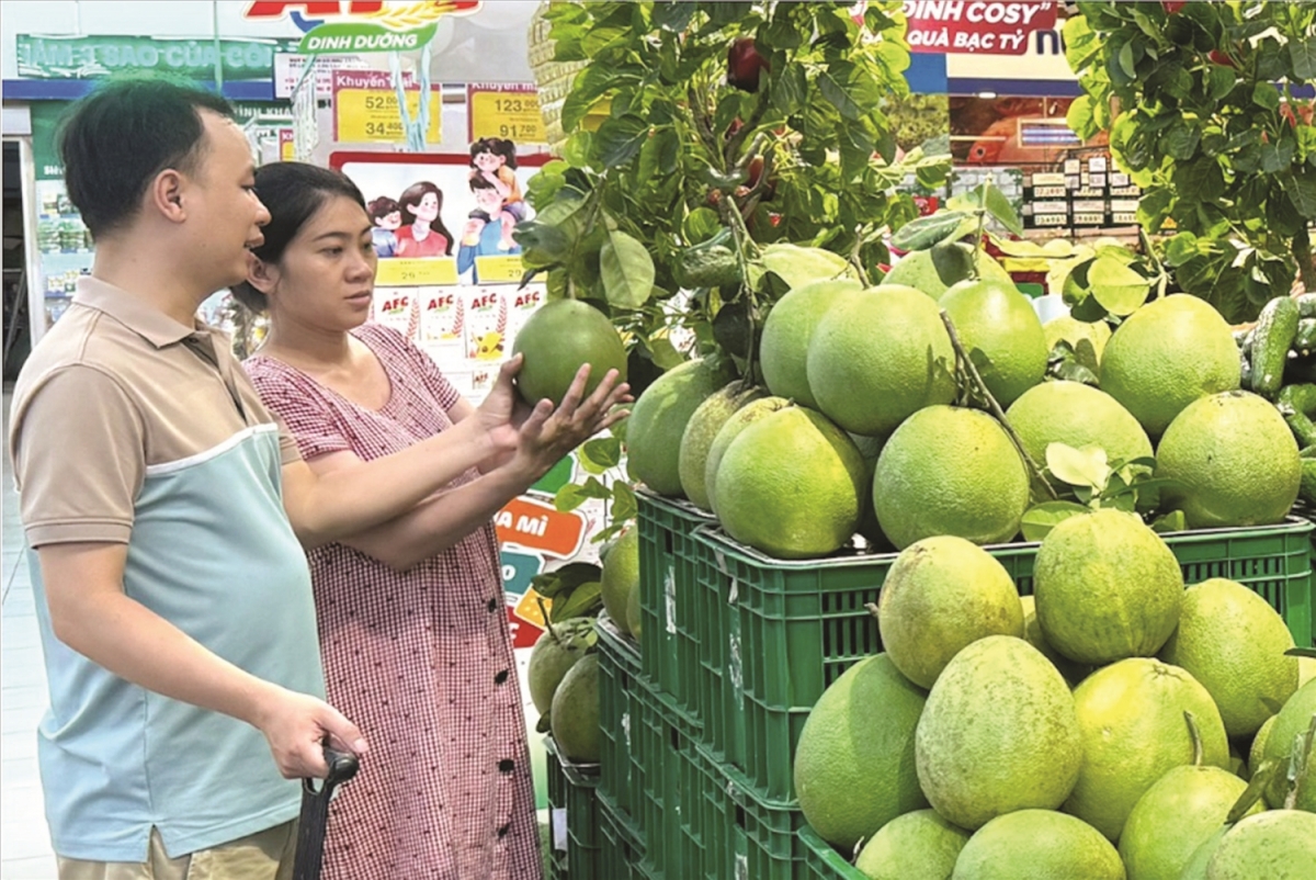 Baoh kayau di HTX bhum urang bangsa takik di tinh Khanh Hoa