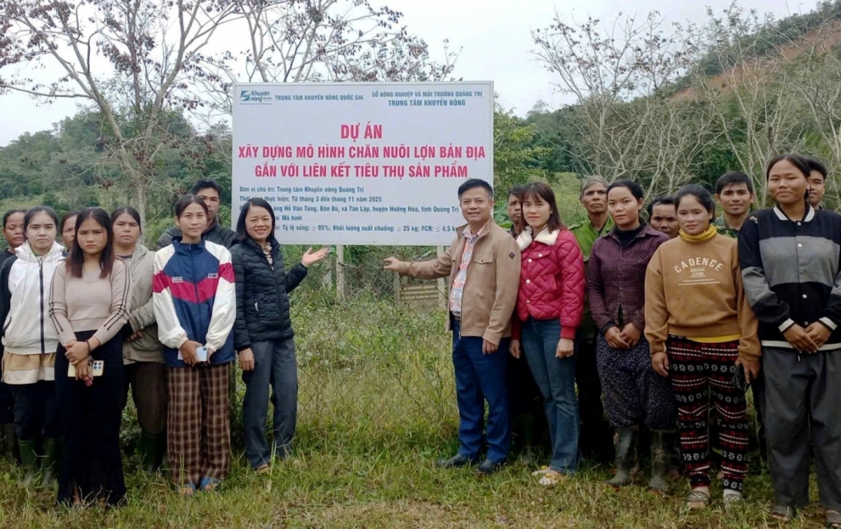 Các đại biểu tham quan mô hình trình diễn nuôi lợn Vân Pa tại xã Tân Lập.