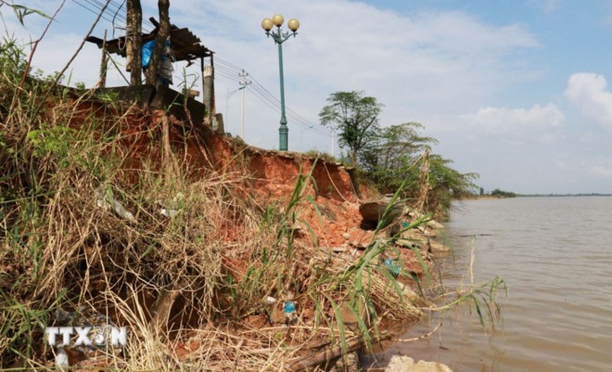 Hệ thống cây xanh, cột điện chiếu sáng dọc tuyến đường Trần Thánh Tông có nguy cơ đổ sập bất cứ lúc nào. 