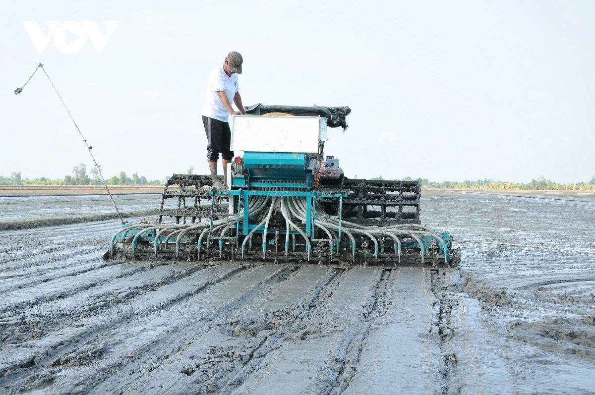Mblang hamu jak krah yaok tuk salih bruk pala padai di gah Pei negar